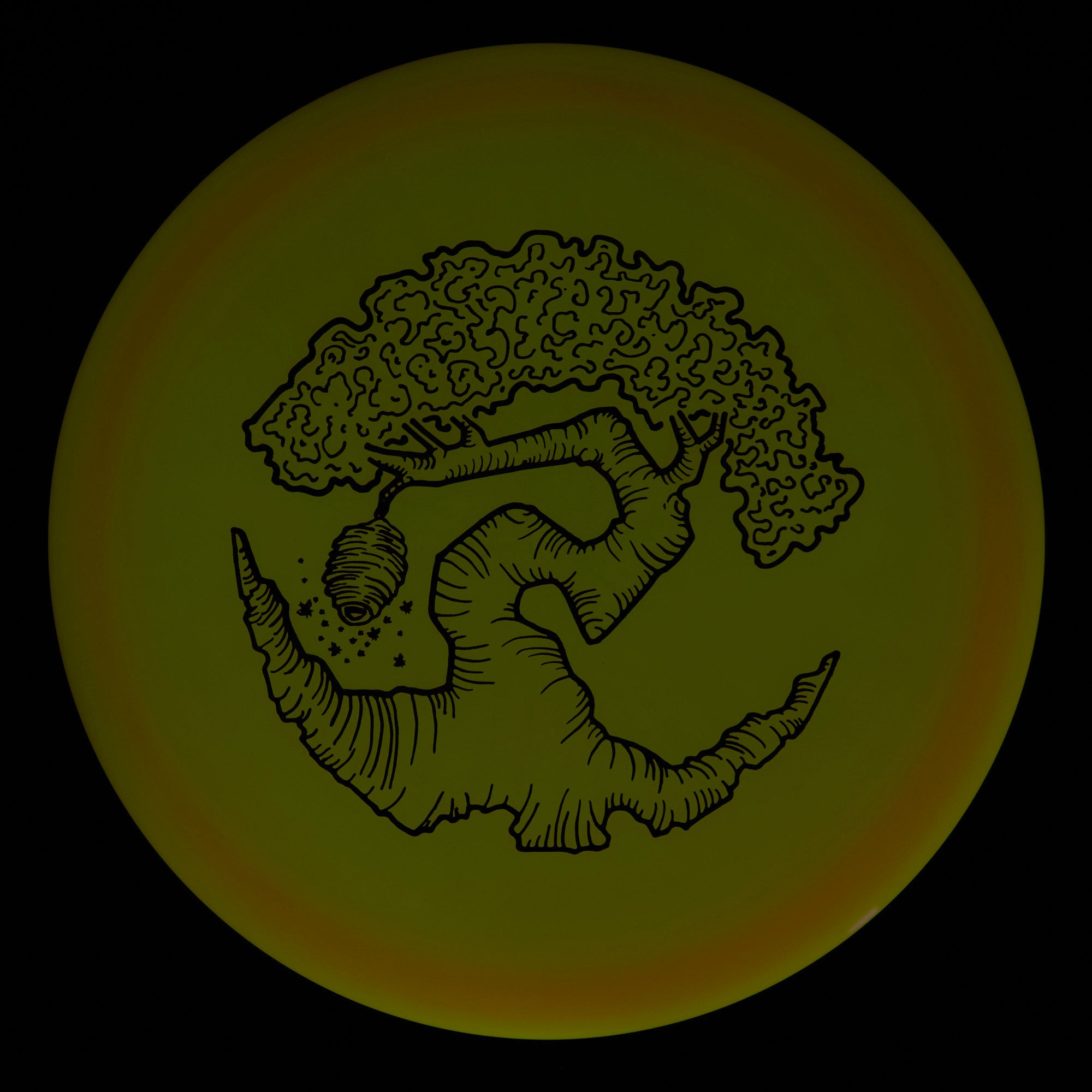 Faylor Lake Special Edition Glo Z FLX Swarm