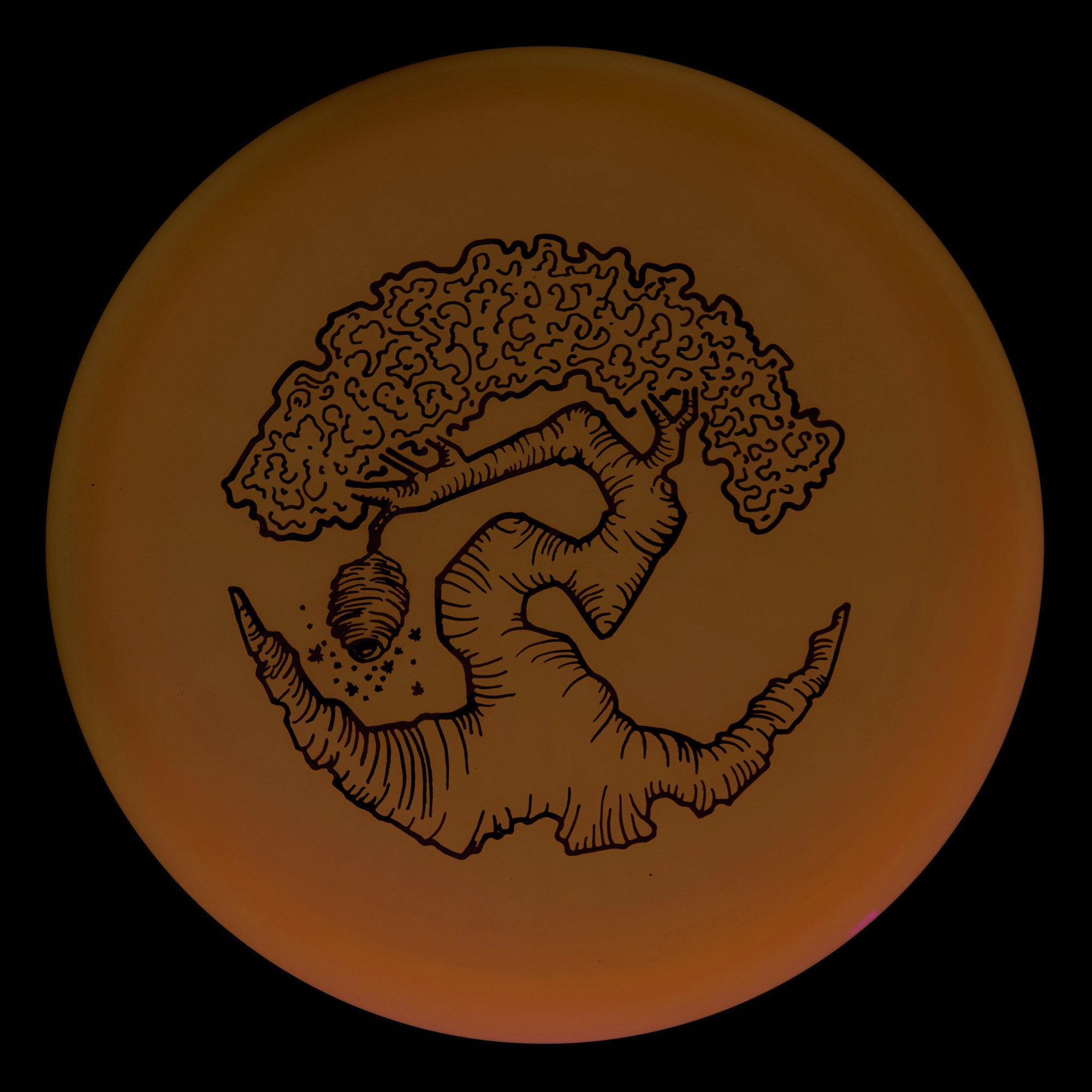 Faylor Lake Special Edition Glo Z FLX Swarm