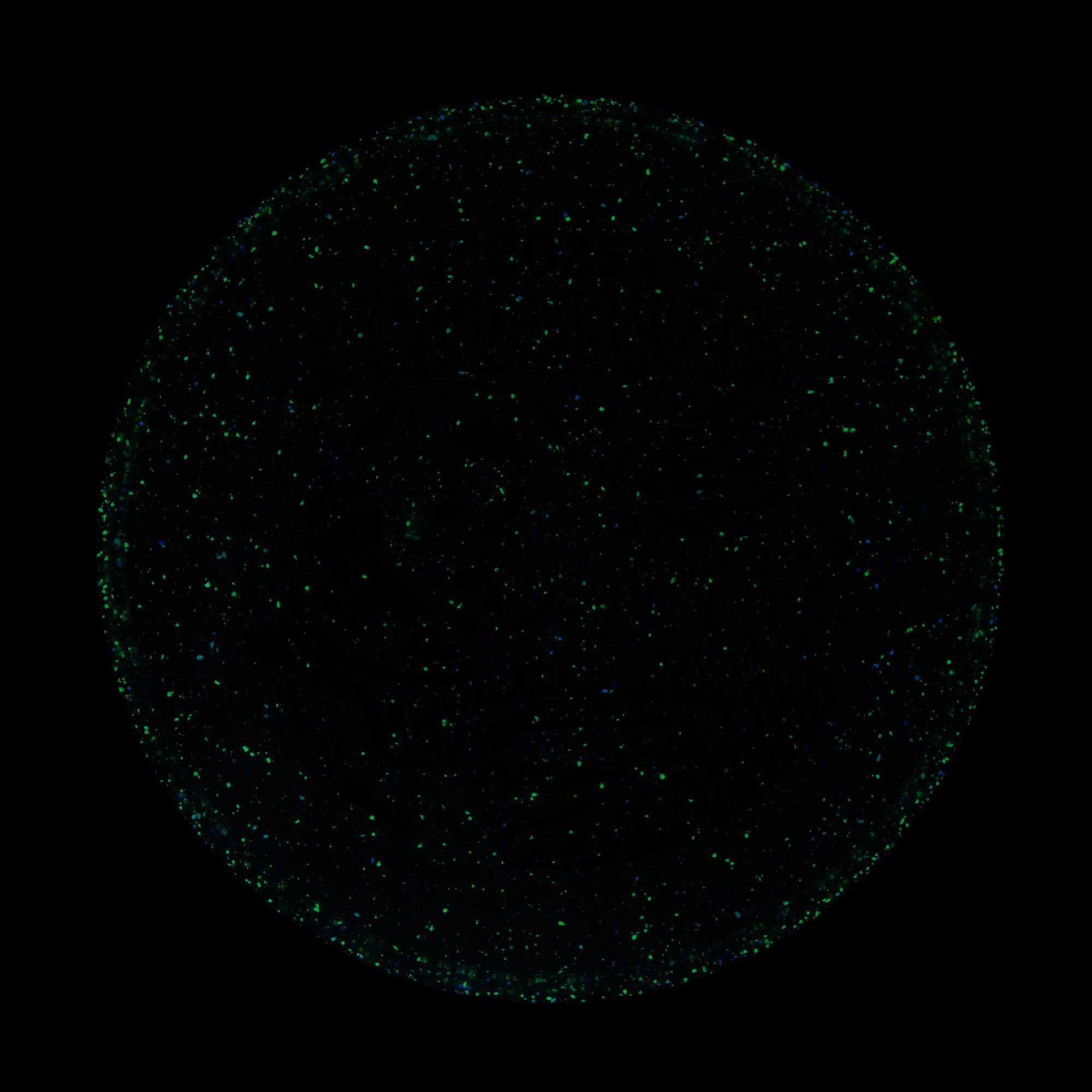 2025 Gyropalooza Particle Proton Particle