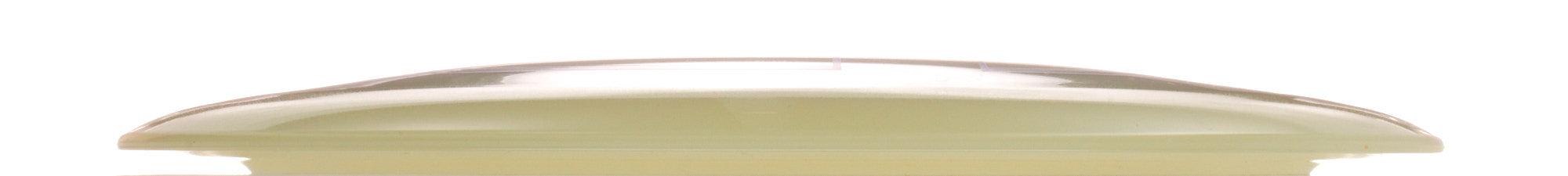 Proto Glow Champion Tern