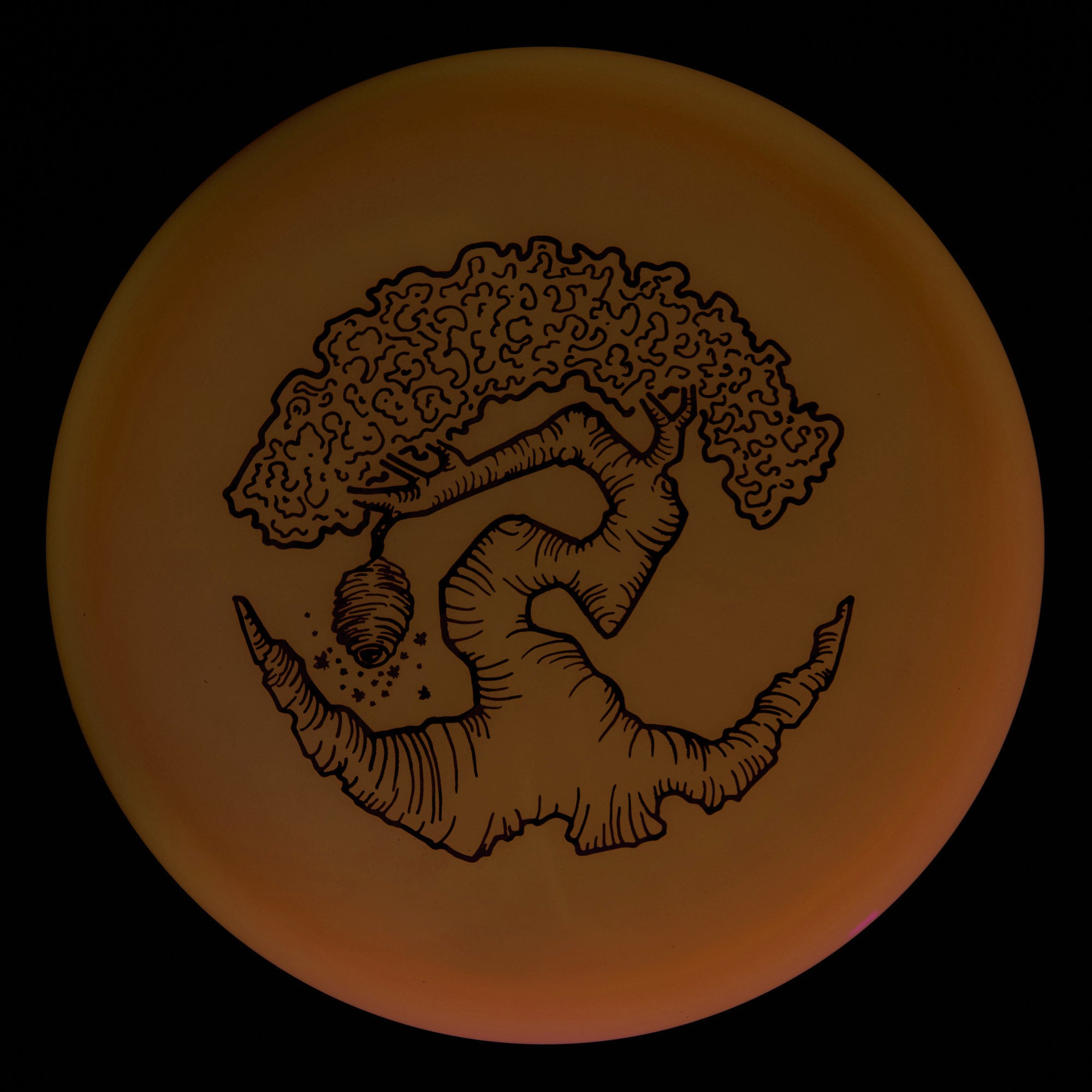 Faylor Lake Special Edition Glo Z FLX Swarm