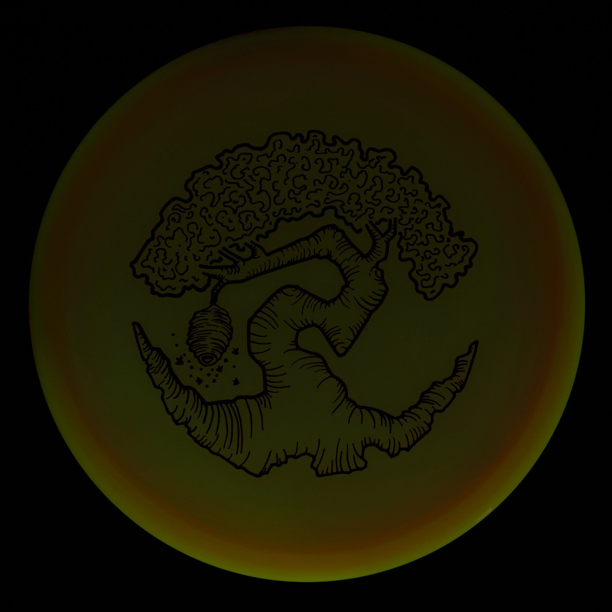 Faylor Lake Special Edition Glo Z FLX Swarm