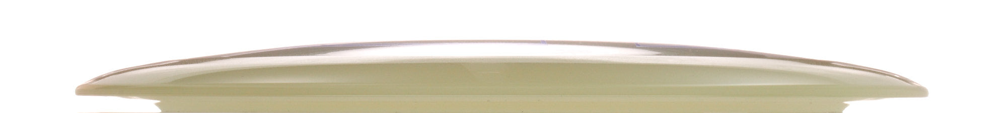 Proto Glow Champion Tern