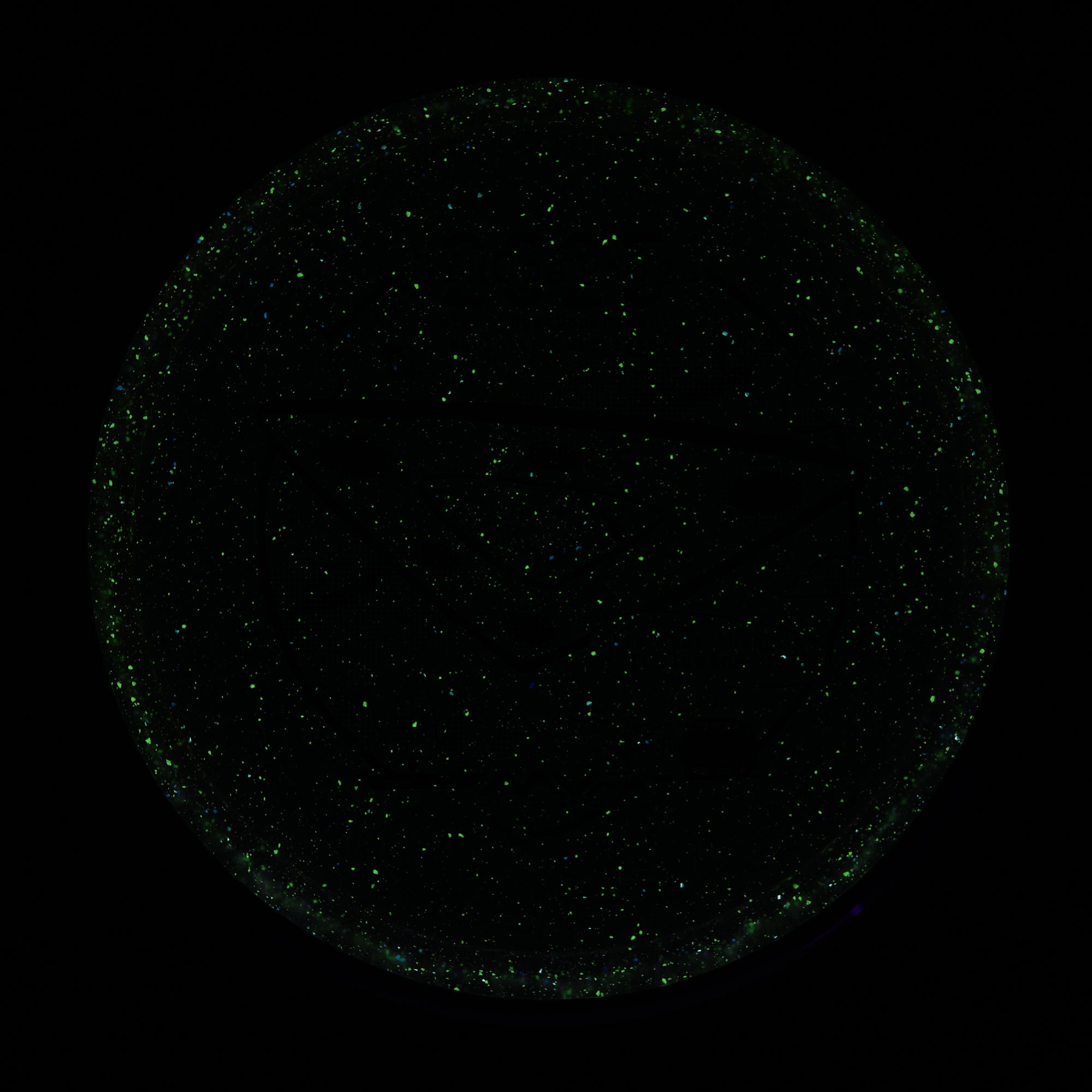 2025 Gyropalooza Particle Proton Pyro