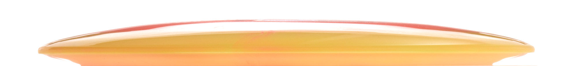 Holly Finley Team Champion Series Halo Champion Roadrunner