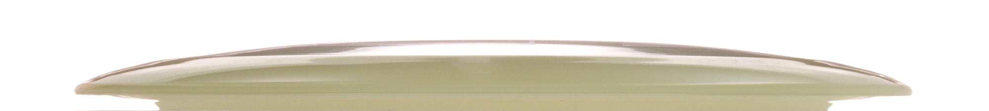 Proto Glow Champion Tern