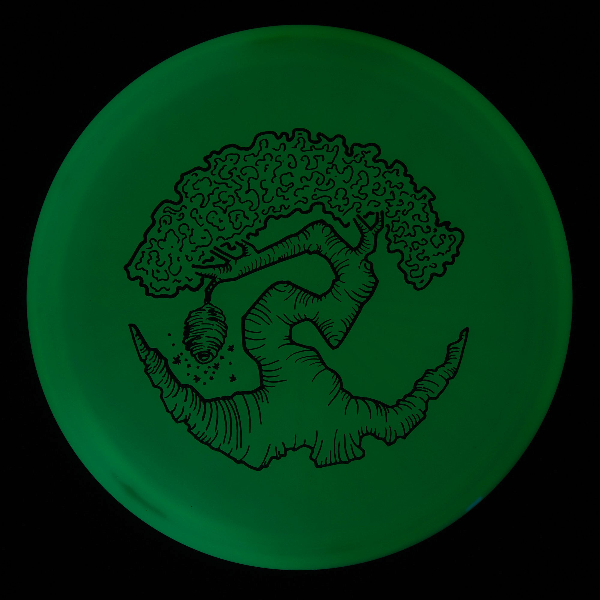 Faylor Lake Special Edition Glo Z FLX Swarm
