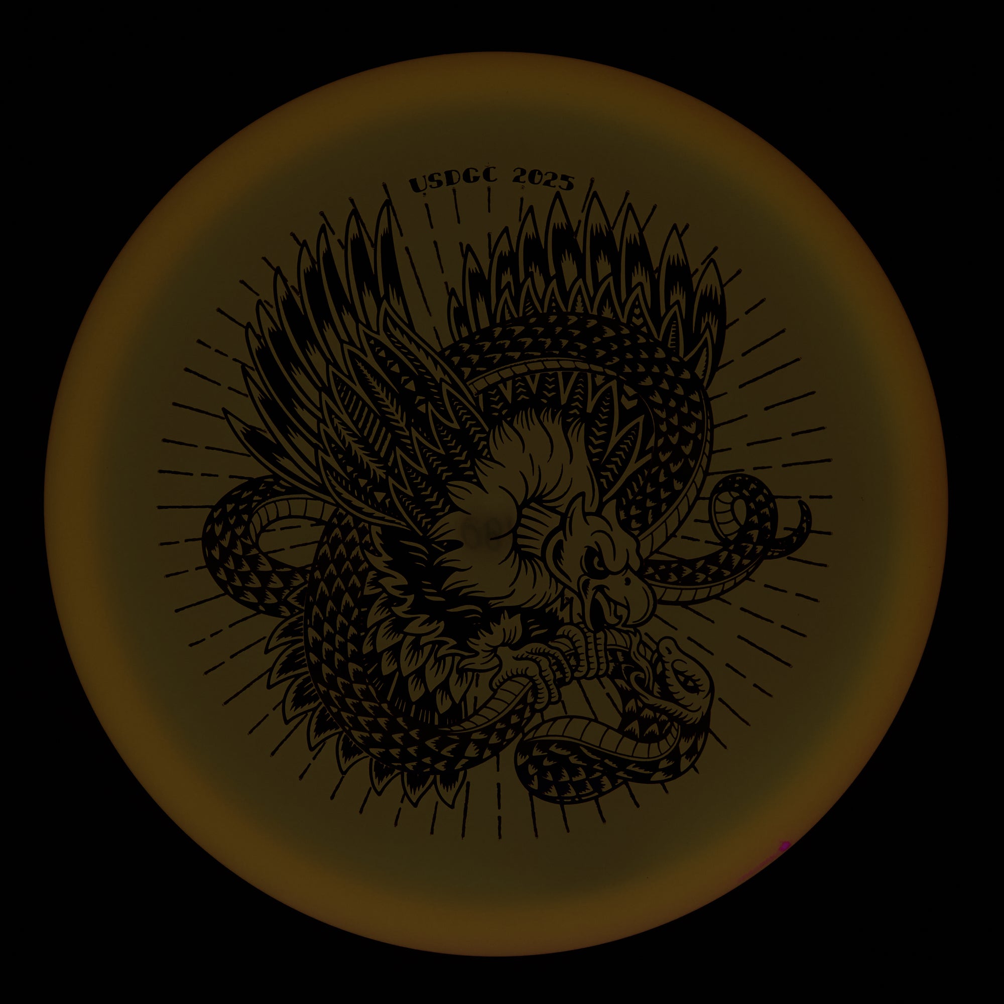 USDGC Glow Champion Roc