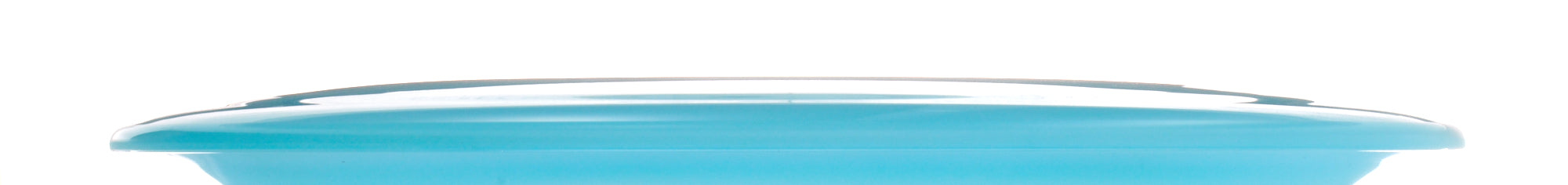 Champion Thunderbird