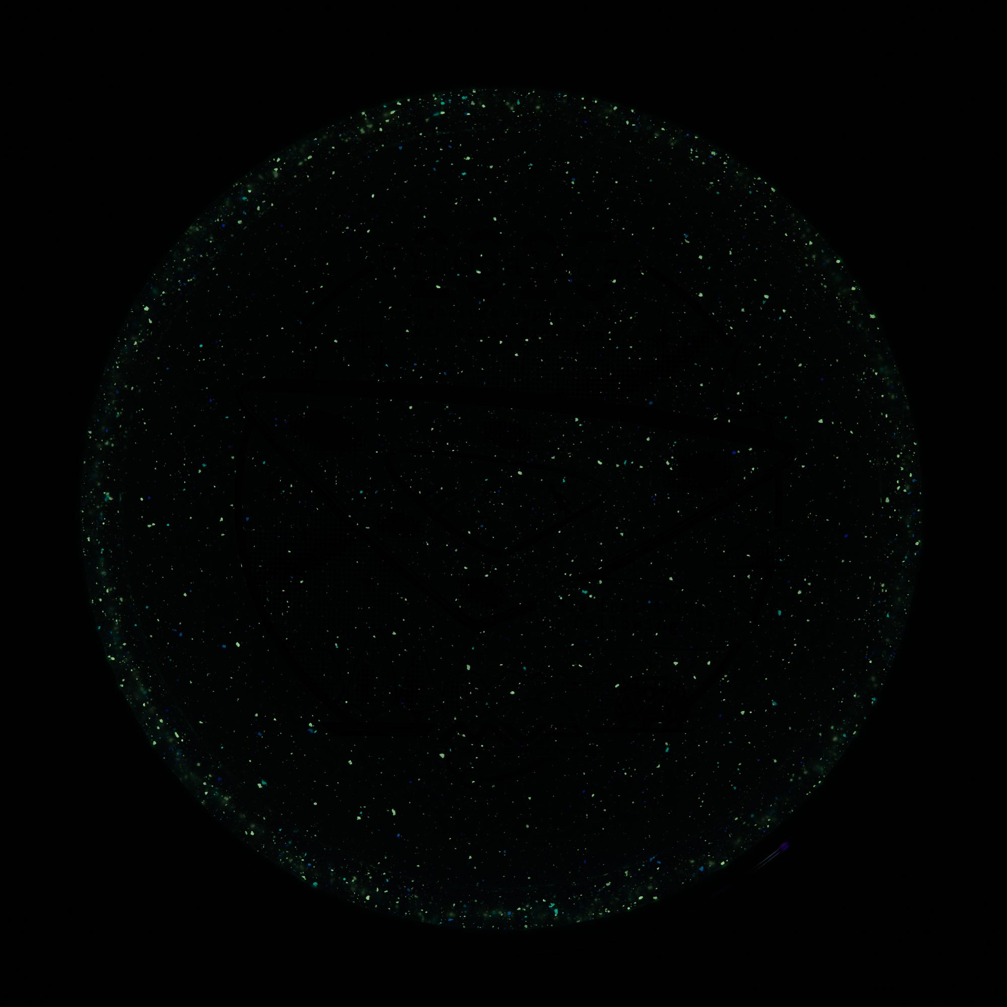 2025 Gyropalooza Particle Proton Pyro