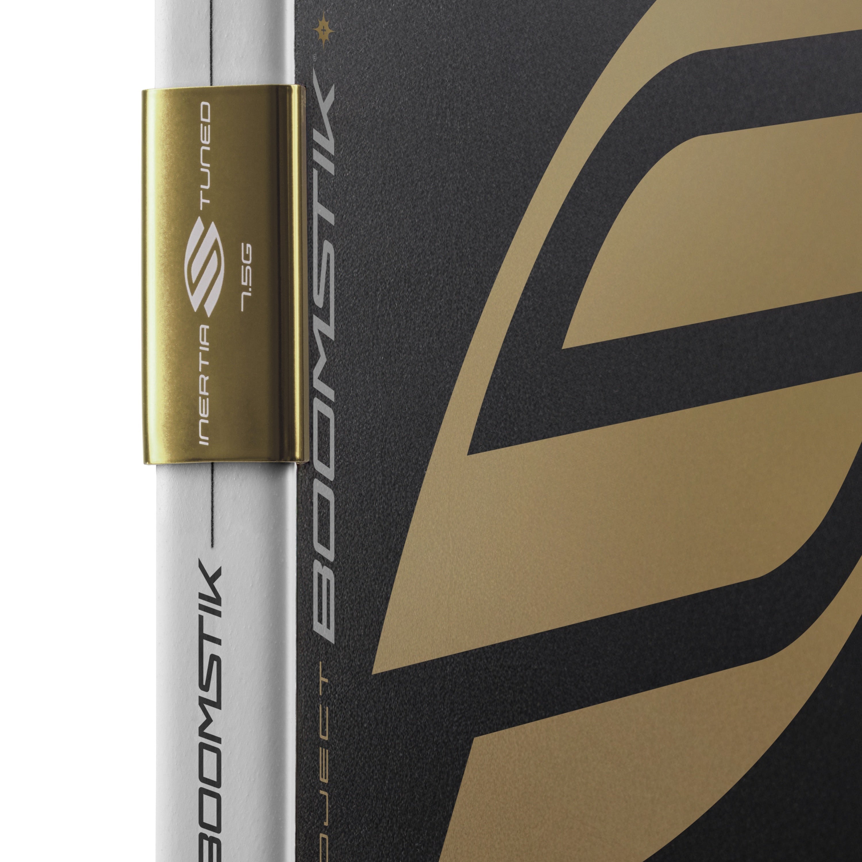 Labs Project Boomstik