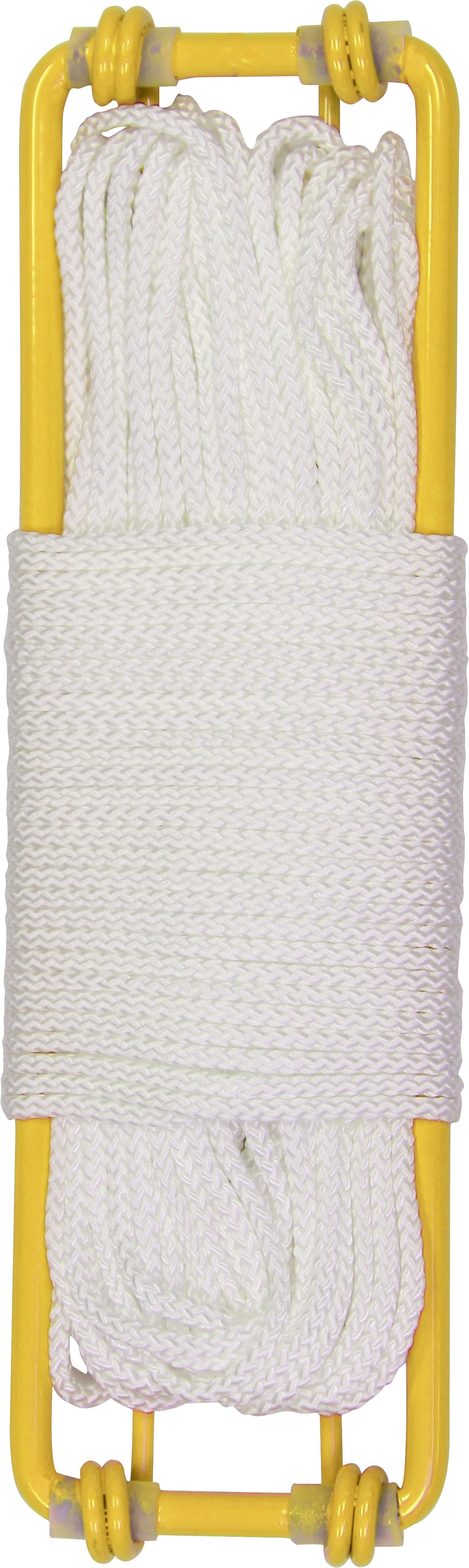 Golden Retriever Disc Retriever