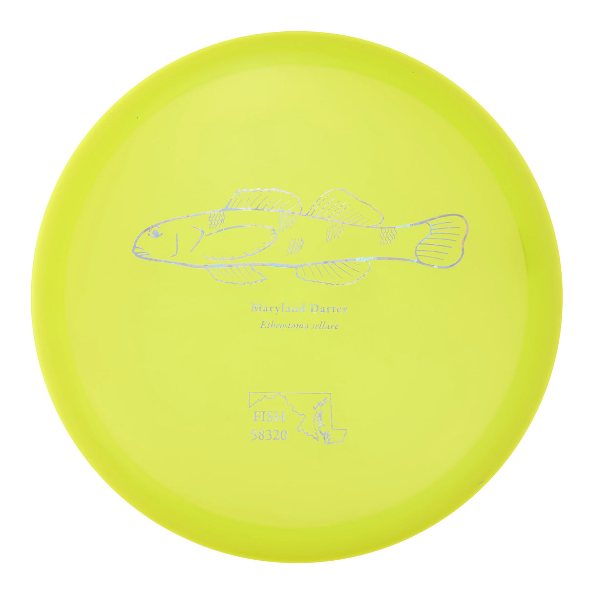 Discraft Buzzz SS - 2023 Andrew Fish Team Series Z-Line 178g | Style 0005