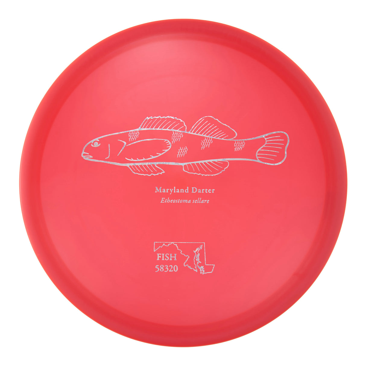 Discraft Buzzz SS - 2023 Andrew Fish Team Series Z-Line 179g | Style 0007