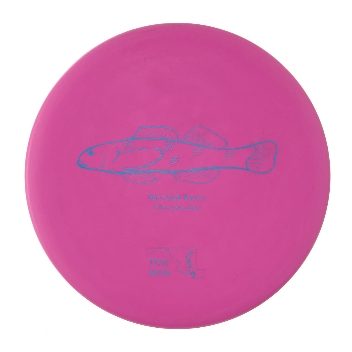 Discraft Challenger - 2023 Andrew Fish Team Series Putter Line 170g | Style 0001