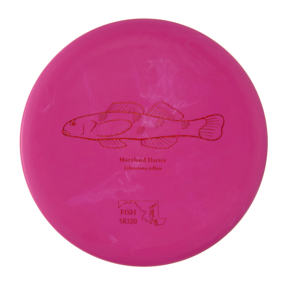 Discraft Challenger - 2023 Andrew Fish Team Series Putter Line 172g | Style 0002