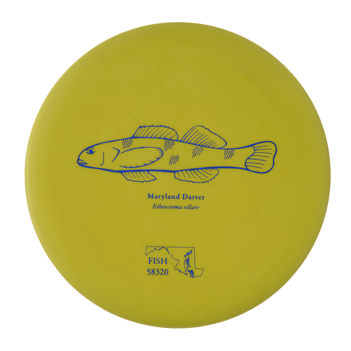 Discraft Challenger - 2023 Andrew Fish Team Series Putter Line 173g | Style 0007