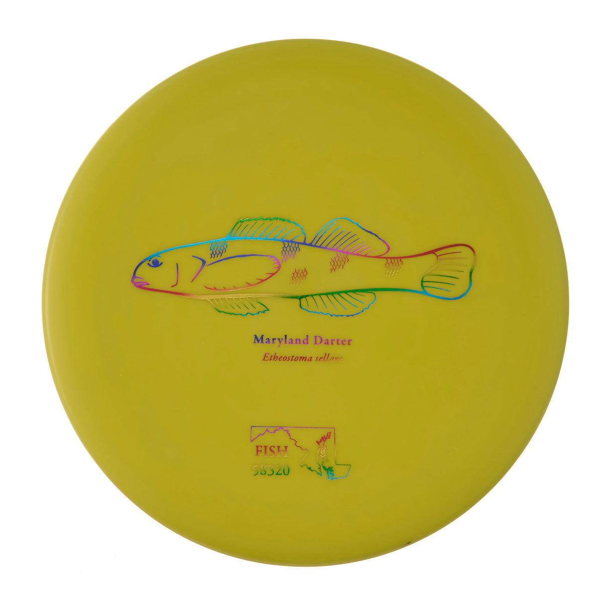 Discraft Challenger - 2023 Andrew Fish Team Series Putter Line 173g | Style 0008