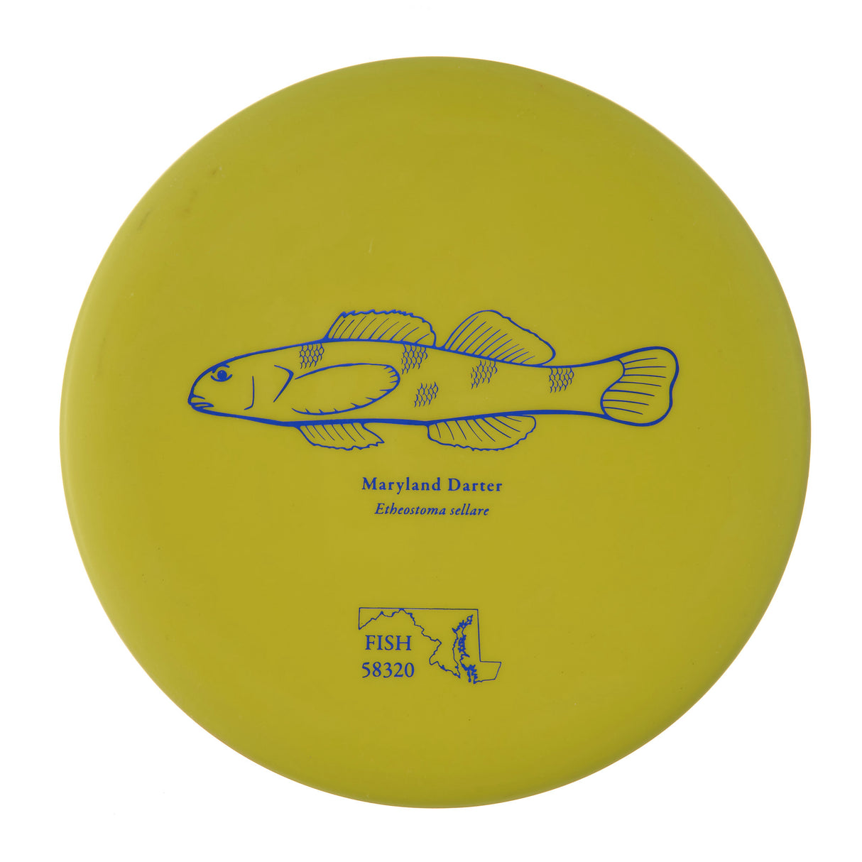 Discraft Challenger - 2023 Andrew Fish Team Series Putter Line 174g | Style 0004
