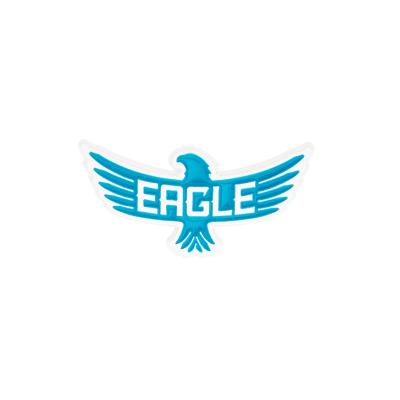 Eagle Icon Enamel Pin