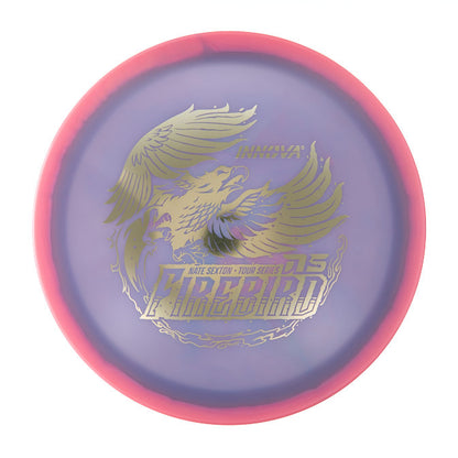 2025 Nate Sexton Tour Series Proto Glow Halo Champion Firebird