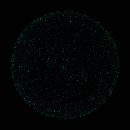 2025 Gyropalooza Particle Proton Particle