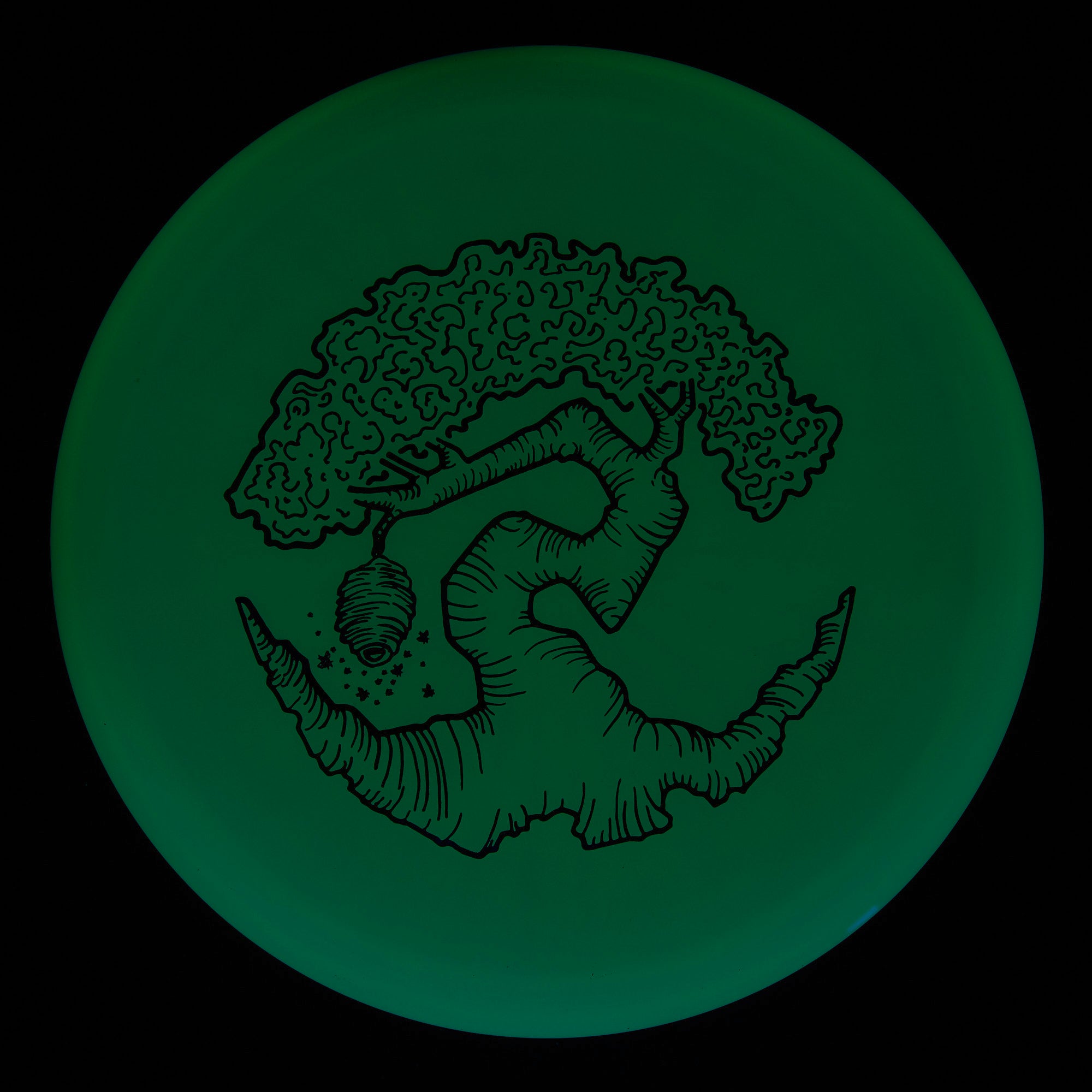 Faylor Lake Special Edition Glo Z FLX Swarm