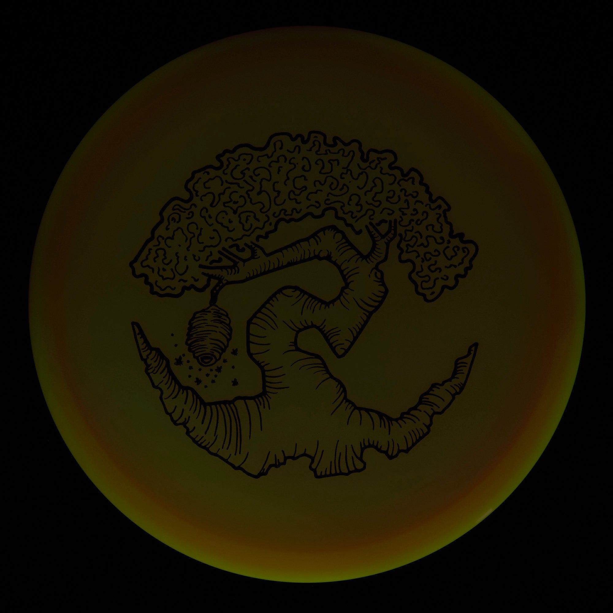 Faylor Lake Special Edition Glo Z FLX Swarm