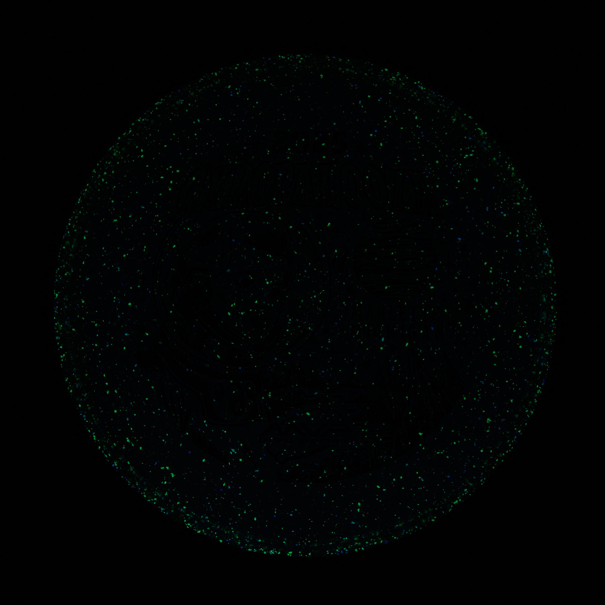 2025 Gyropalooza Particle Proton Particle