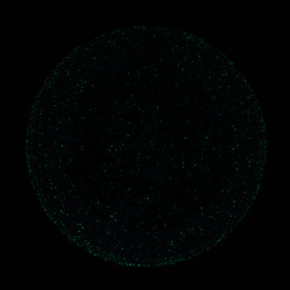 2025 Gyropalooza Particle Proton Particle