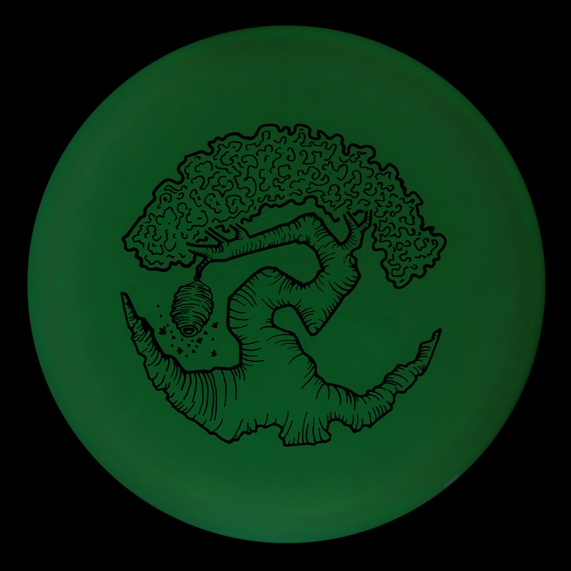 Faylor Lake Special Edition Glo Z FLX Swarm