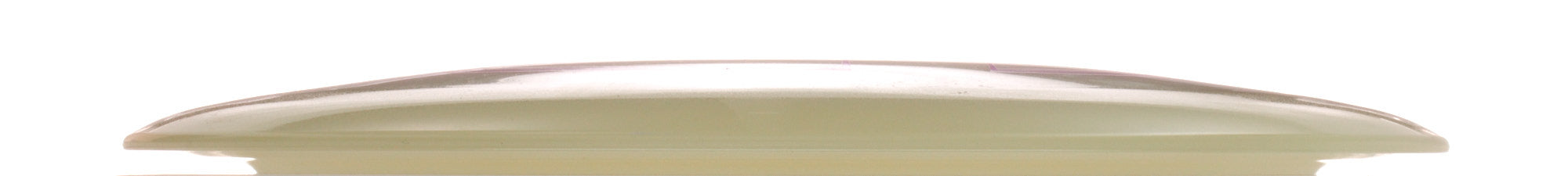 Proto Glow Champion Tern