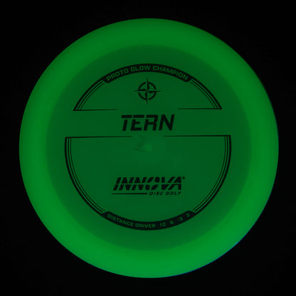 Proto Glow Champion Tern