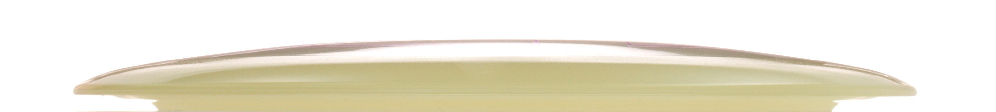 Proto Glow Champion Tern