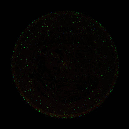 2025 Gyropalooza Particle Proton Particle