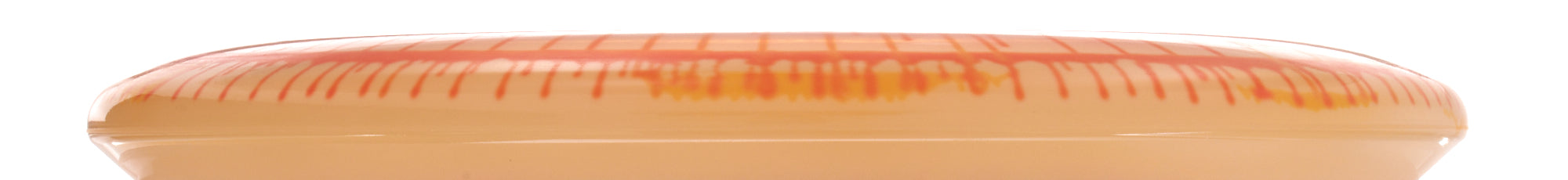 I-Dye Champion Aviar