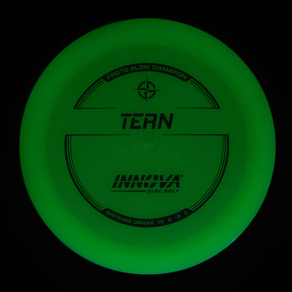 Proto Glow Champion Tern