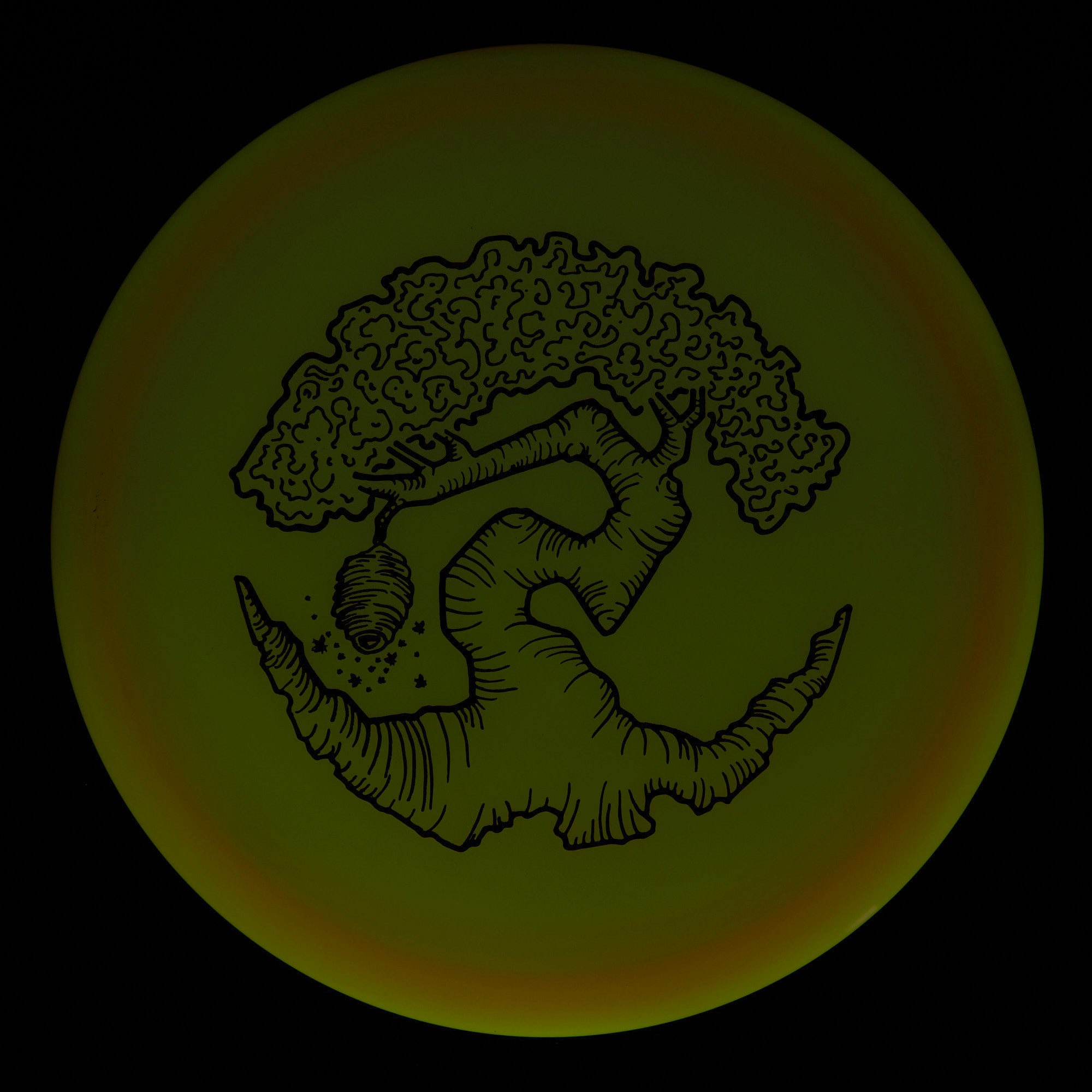 Faylor Lake Special Edition Glo Z FLX Swarm