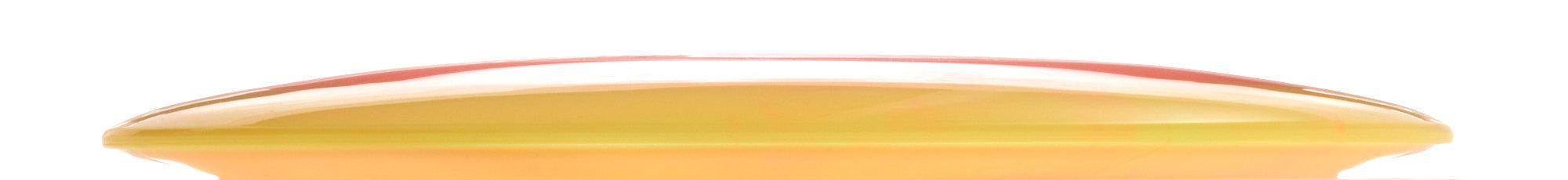 Holly Finley Team Champion Series Halo Champion Roadrunner