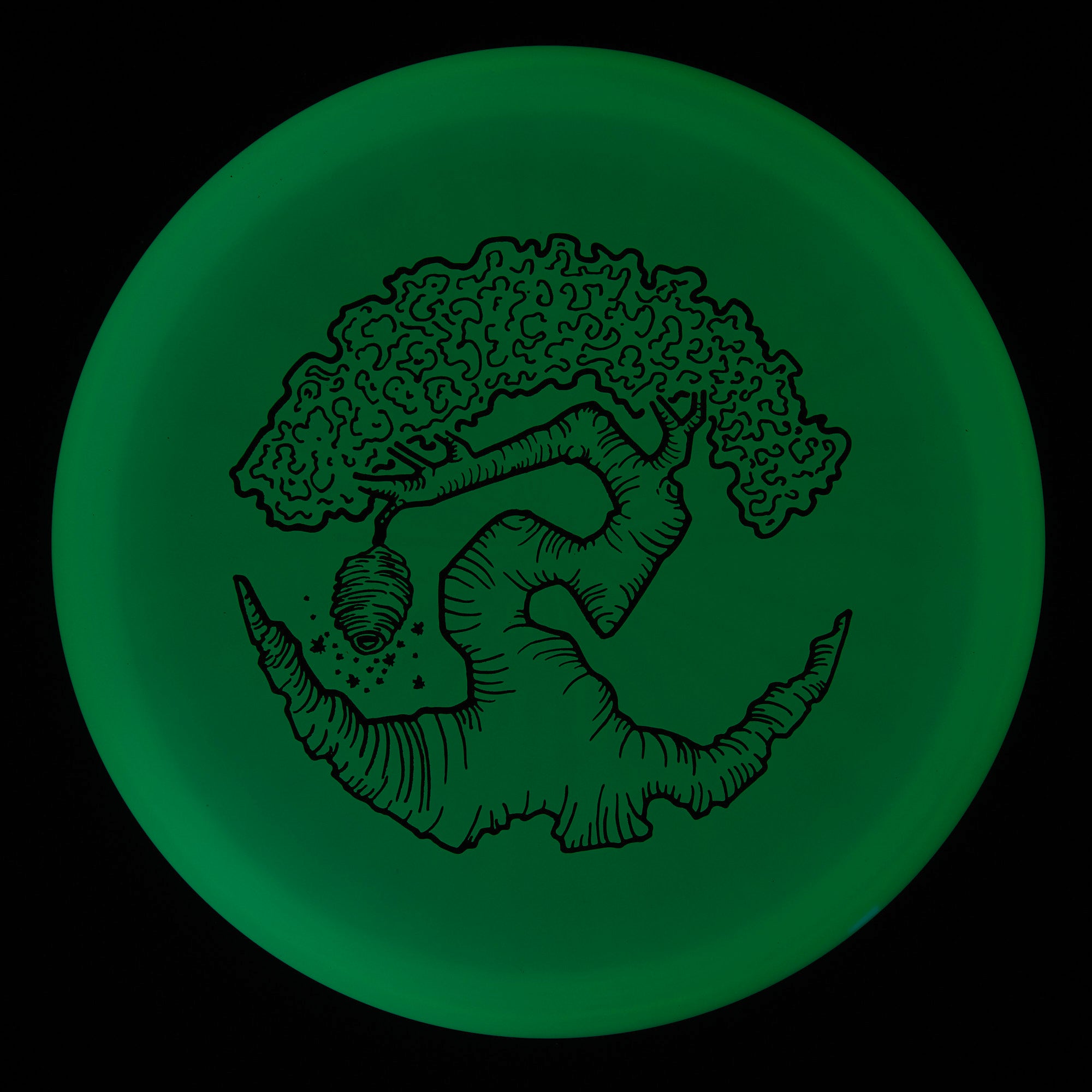 Faylor Lake Special Edition Glo Z FLX Swarm