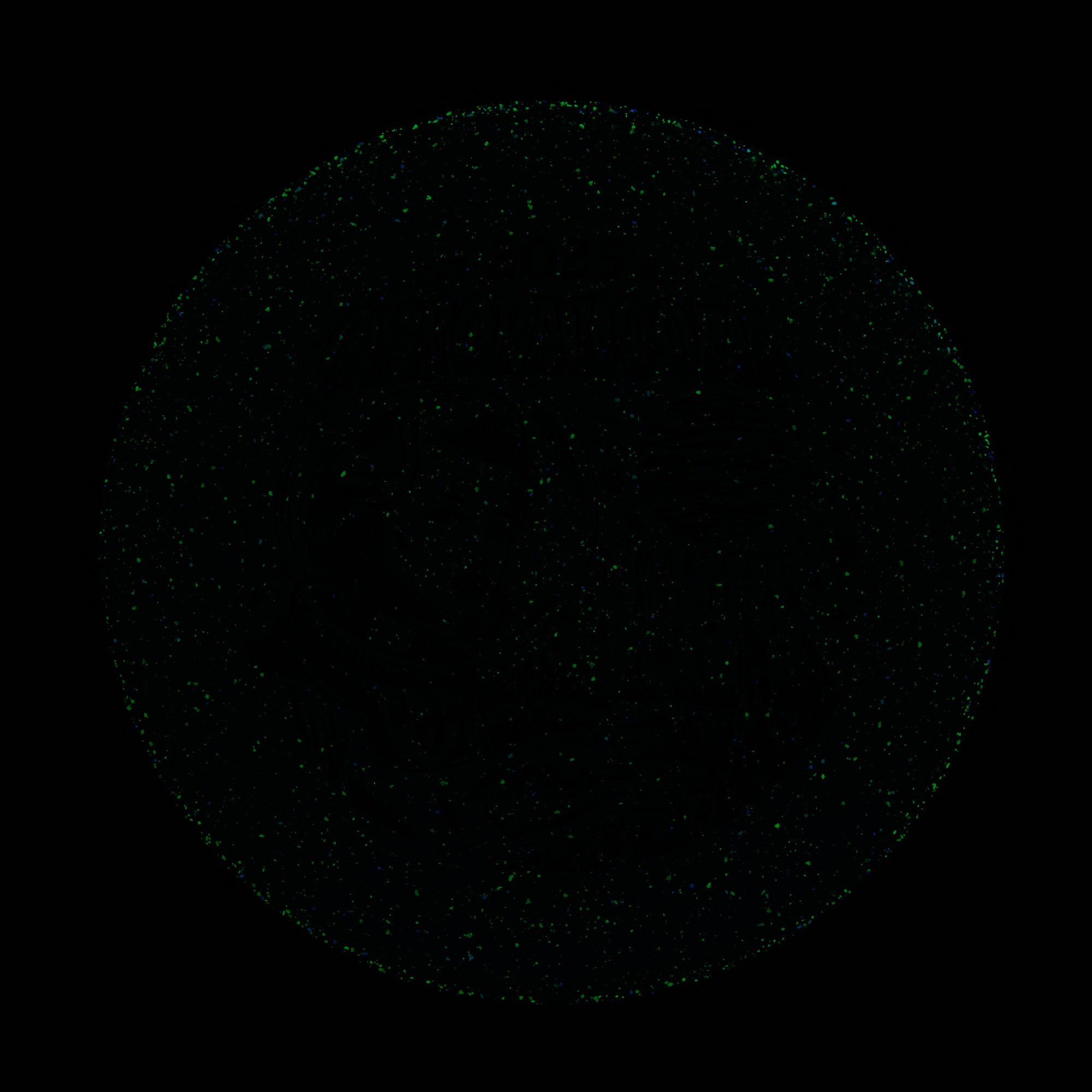 2025 Gyropalooza Particle Proton Particle