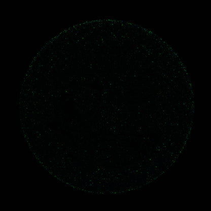 2025 Gyropalooza Particle Proton Particle