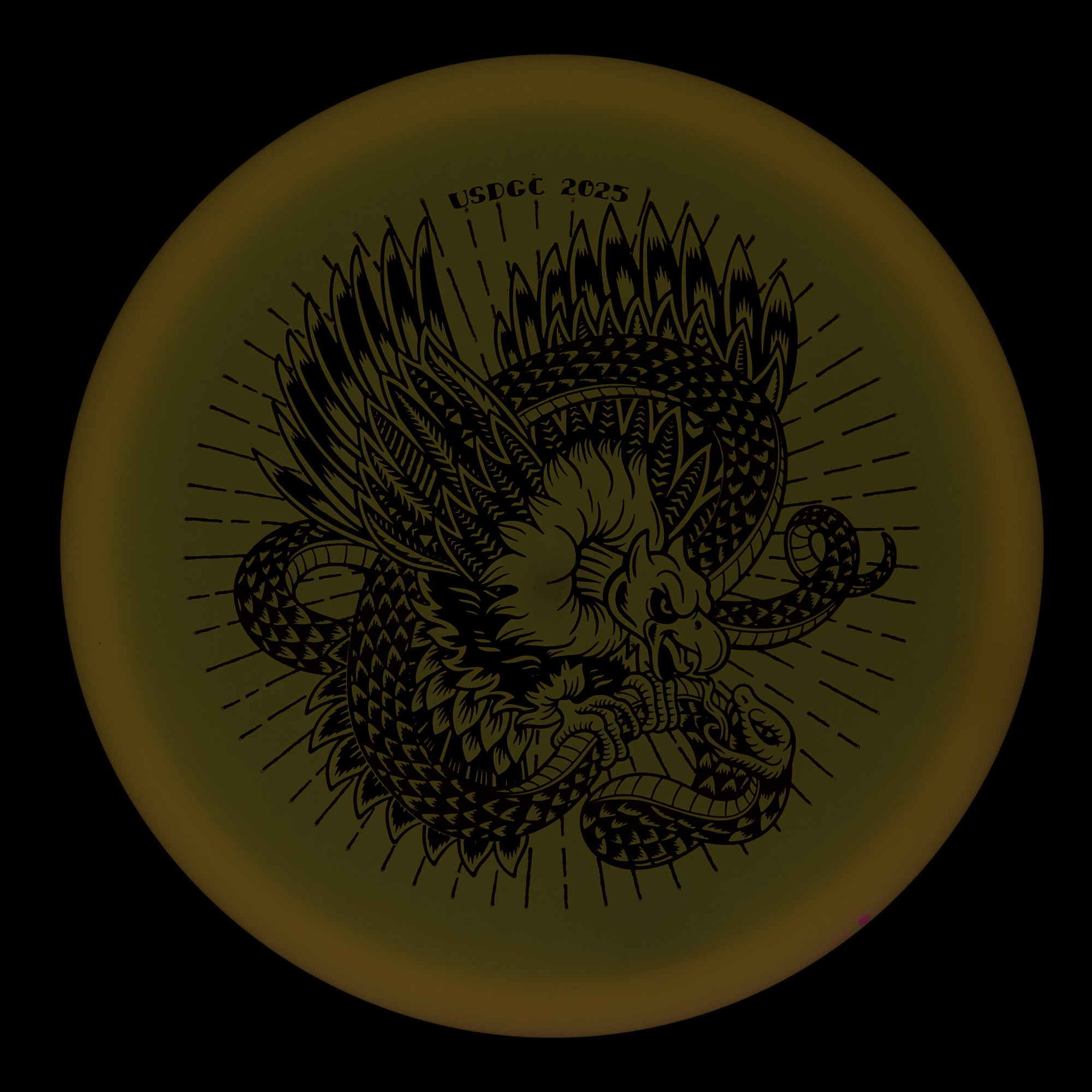 USDGC Glow Champion Roc