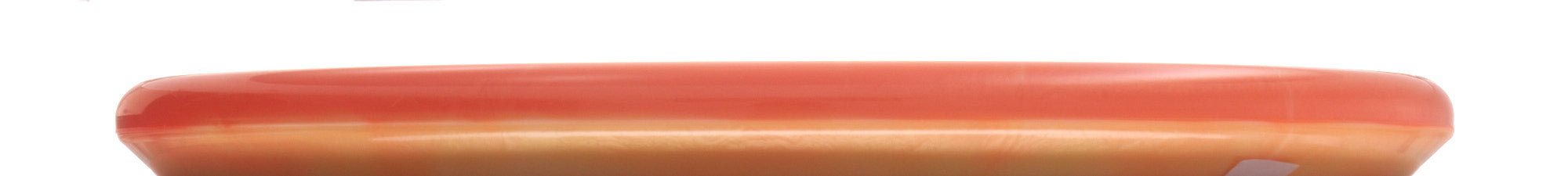 2024 Christmas Halo Star Toro