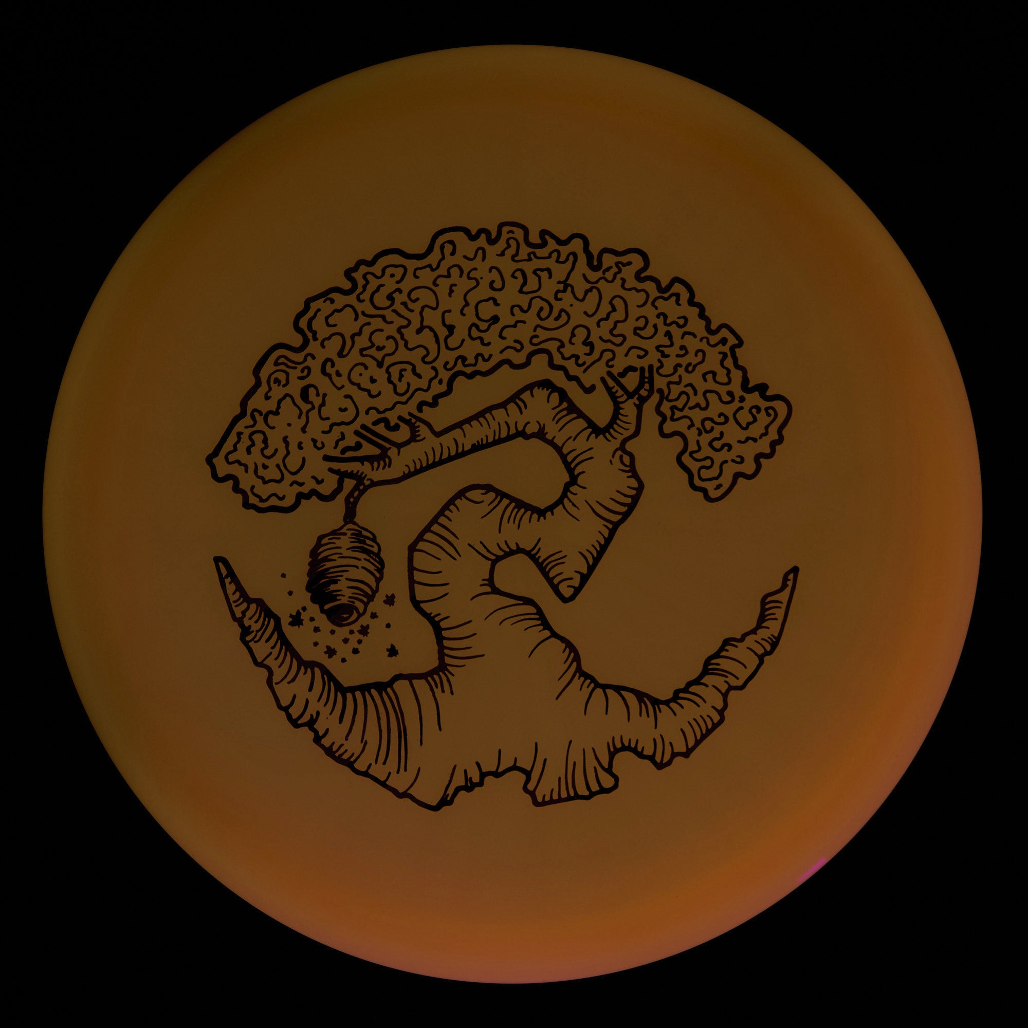 Faylor Lake Special Edition Glo Z FLX Swarm