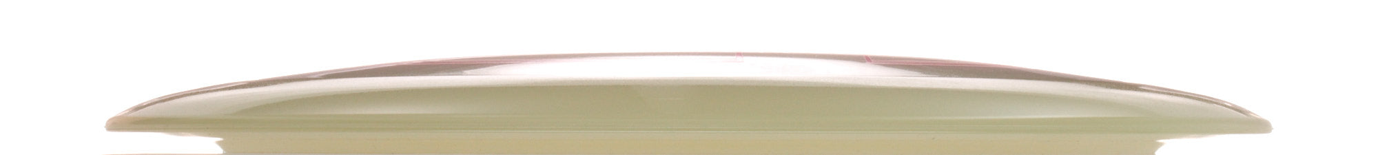 Proto Glow Champion Tern