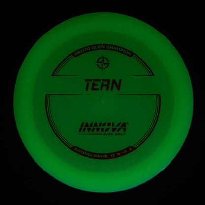 Proto Glow Champion Tern