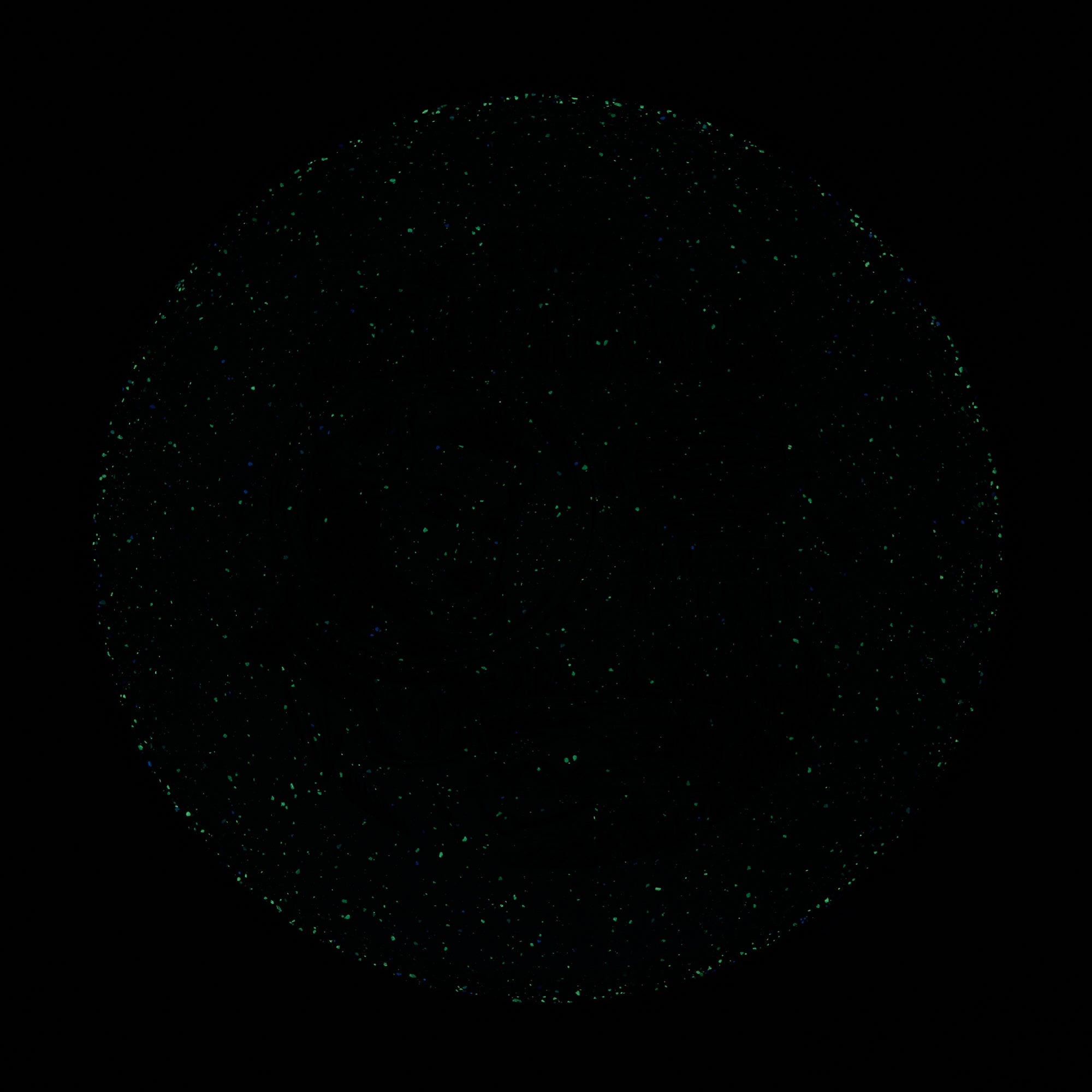 2025 Gyropalooza Particle Proton Particle
