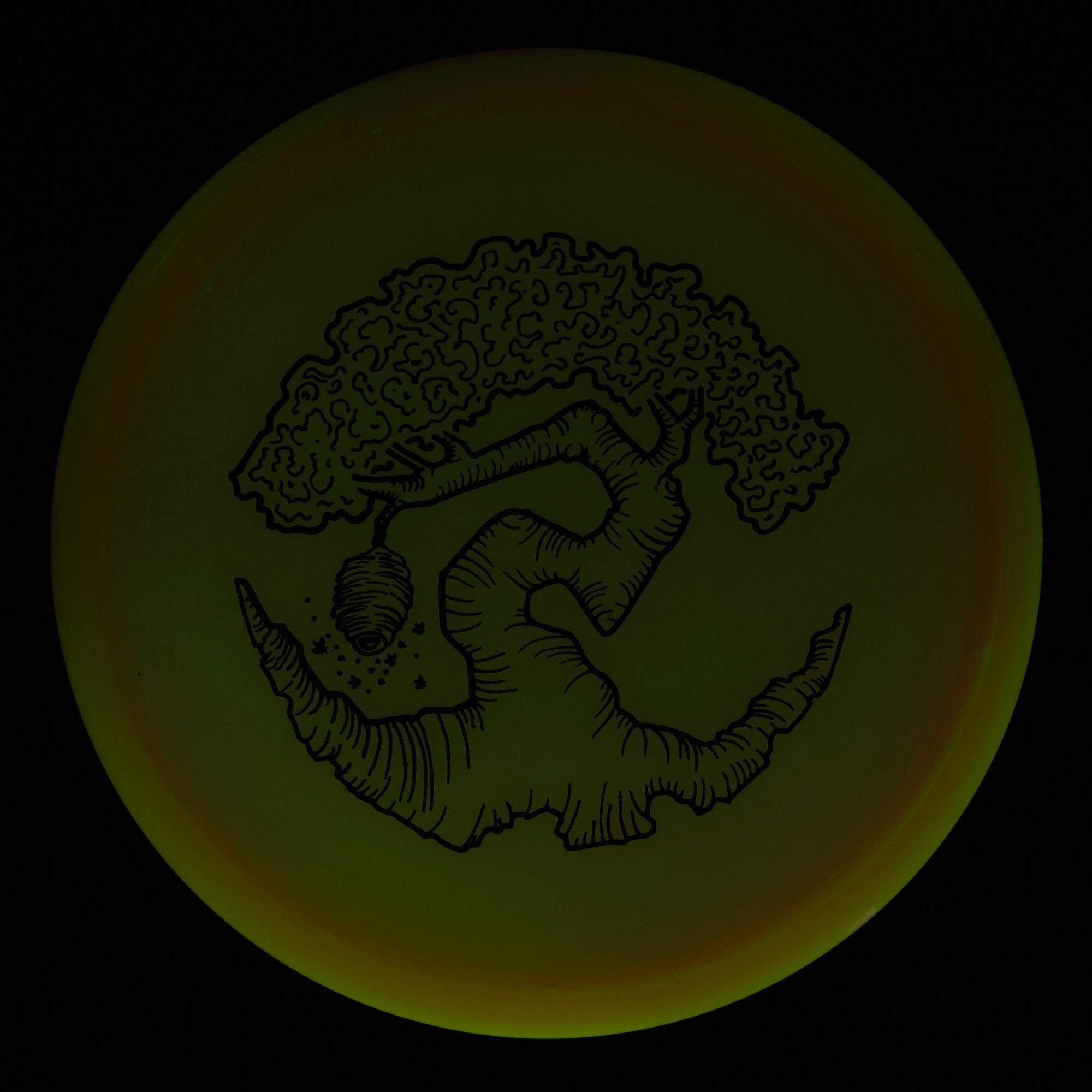 Faylor Lake Special Edition Glo Z FLX Swarm