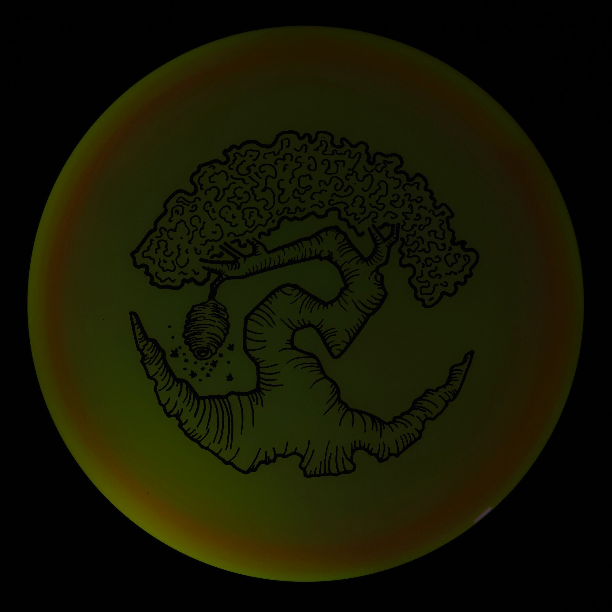 Faylor Lake Special Edition Glo Z FLX Swarm